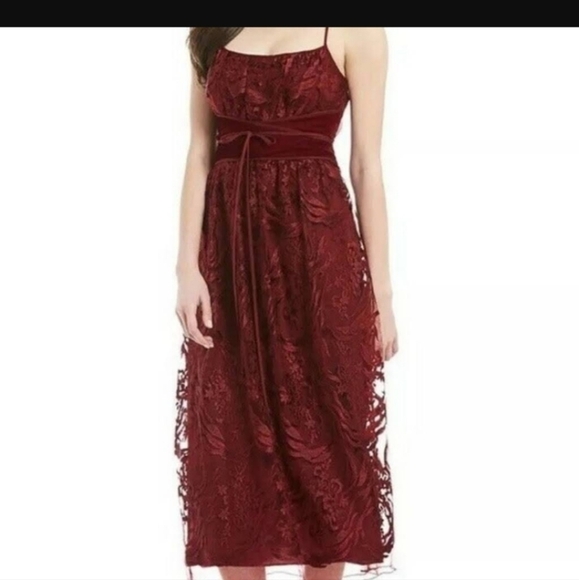 Max Studio Sephora Garnet lace and velvet midi dress - Picture 1 of 8